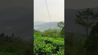 Offbeat place near Darjeeling #travel #explore #wanderwithdebritu