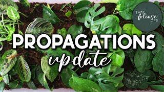 Propagation Box UPDATE!