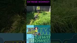 Extreme Overgrown Mowing