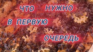 Что нужно в первую очередь 