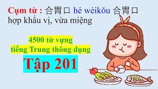 4500 từ vựng tiếng Trung thông dụng - Tập 201