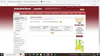 How to check fund lien marked for IPO ASBA application IndusInd Bank | indusind bank lien amount