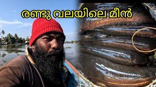 രണ്ടു വലയിലെ മീൻ | FISHINGVLOG | #reallife #realfishing