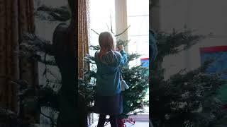 Christmas 2023 - Decorating our tree!