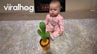 Baby Has in Depth Conversation With Talking Cactus Toy || ViralHog