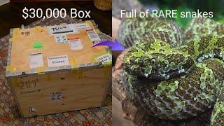 Unboxing $30,000 of Venomous Snakes!