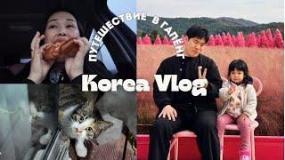 KOREA VLOG / ДР МУЖА / ДОМИК В ДЕРЕВНЕ