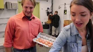 Free Range Egg Farm Tour - Pasture Raised Chicken Farm