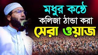 যে কণ্ঠের পাগল কোটি মানুষ ! কলিজা ঠান্ডা করা সেরা ওয়াজ। শুয়াইব আহমদ আশ্রাফী। Soaib Ahmed Ashrafi