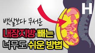 내장지방 빼는 법, 뱃살 빼는 법! 이거 하나만 알면 누구나 쉽게 내장지방을 뺄 수 있습니다