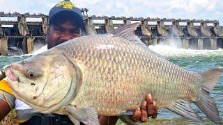 NO. BAIT FISHING TECHNIQUES| Traditional hand Fishing Video | Rainwater running water Fishing