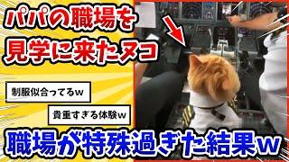 【2ch動物スレ】パパの特殊な職場を見学に来たネッコ→制服着せてもらいウキウキｗ