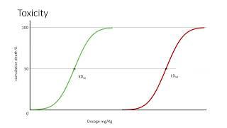 Ethanol effects on human health