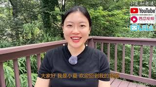 如何挑选好学区？纽约学区房实地讲解 好学区的标准是什么 考虑因素有什么