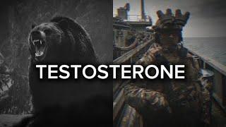 TESTOSTERONE Motivation - Powerful motivational compilation video.