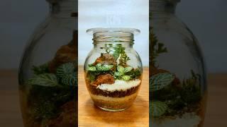 Create a MINI Terrarium in a Small Jar with EASY Steps