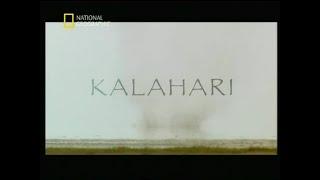 Kalahari 1/2