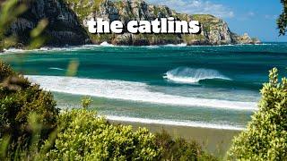 The Catlins | Travel Guide