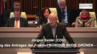 10.10.2013, Jürgen Seidel, CDU-Fraktion, Landtag M-V, Debatte zur EEG-Umlage