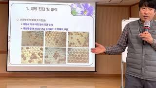 토종벌 한봉 낭충봉아부패병 대처 방법 김대립 홍천농업기술센터