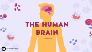 Unveiling Truths: 10 Mind-Blowing Facts About the Human Brain 