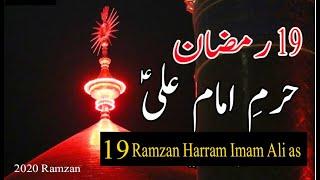 Hazrat Imam Ali as | 19 Ramzan | Shab E Zarbat Imam Ali | Mola Ali K Harram K Manazir | Najaf Ashraf