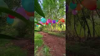 Can You Pop These Balloons?