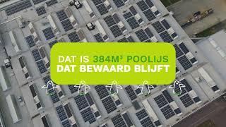 Industriële zonnepanelen installatie Insaver - Accentis Lier