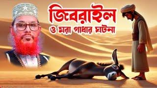 জীবরাঈল ও মরা গাঘার ঘটনা দেলোয়ার হোসাইন সাঈদী বাংলা ওয়াজ মাহফিল ২০২৫