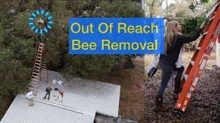 Hard To Reach Bee Removal