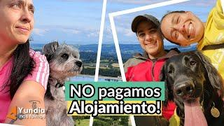 Viajar barato por el mundo cuidando mascotas!  Housesitting: Cómo funciona?