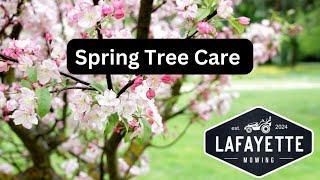 Spring Tree Care: 7 Essential Tips for a Lush Garden