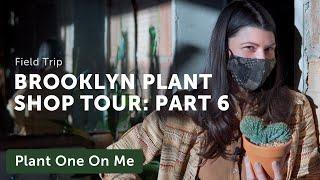 Brooklyn Plant Shop Tour: Tula Plants & Design (6/6) — Ep. 223