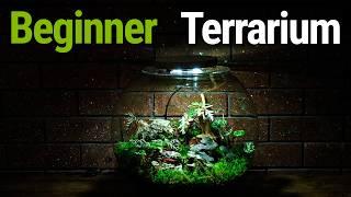 Transform Your Dark Space With A Simple Terrarium