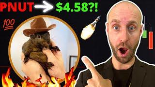 I Bought 217 PEANUT THE SQUIRREL ($PNUT) Crypto Coins at .467?! Turn $100 into $10K?! (URGENT!!!)