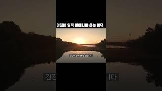 아침에 일찍 일아나야 하는 이유 #절제의성공학 #새벽독서 #동기부여