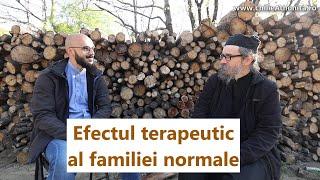 Efectul terapeutic al familiei normale - Radu Dobriceanu, p. Teologos