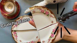 Crunchy plate cutting for mosaic art - ASMR