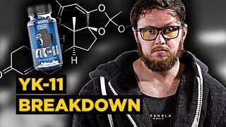 YK-11 Myostatin Inhibitor Overview | Most UNSAFE Compound Known to Man?! (Side Effects) [PEDucation]