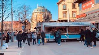 Gothenburg, Sweden: street life, cherry blossom and people of Linnégatan  (1 km walk, natural sound)