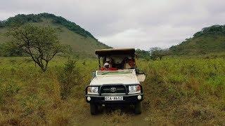 A late evening encounter with Elephants at Mzima Springs Tsavo West @Finchhattons