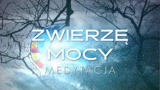 JOGA NIDRA - Zwierzę Mocy - Medytacja na Pewność Siebie -  Relaksacja przed Snem | Free Flow