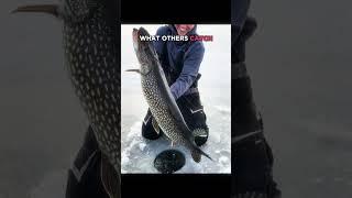 The Last Catch 