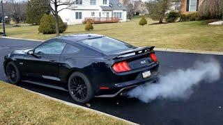 2019 Ford Mustang GT Premium startup and revs!