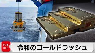 日本が金の資源国に！？特殊なシートで海に溶け出たゴールドを採る【ガイアの夜明け】