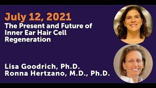 The Present and Future of Inner Ear Hair Cell Regeneration