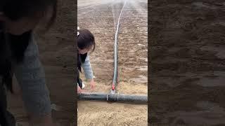 best lawn sprinklers irrigation spray tape #shorts #knowledge #work #lawn #soil #irrigation