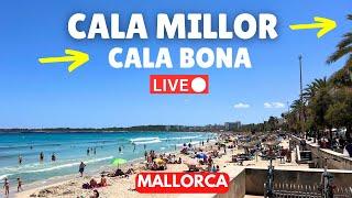 Live in Cala Millor & Cala Bona, Mallorca (Majorca) | 13 October 2024