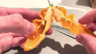 Habanada - Pepper Review #3