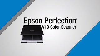 Epson Perfection V19 Scanner | Take the Tour